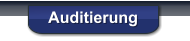 Auditierung